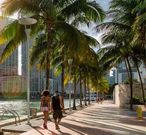 A boardwalk in downtown Miami.