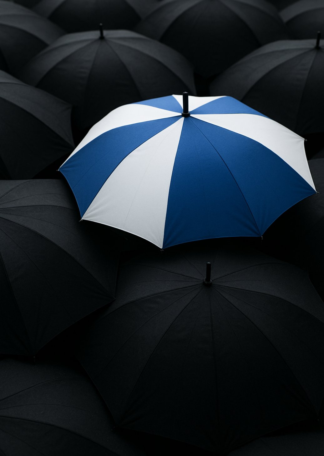 A unique blue and white umbrella among several black umbrellas demonstrating the importance of uniqueness in industry-specific digital marketing.