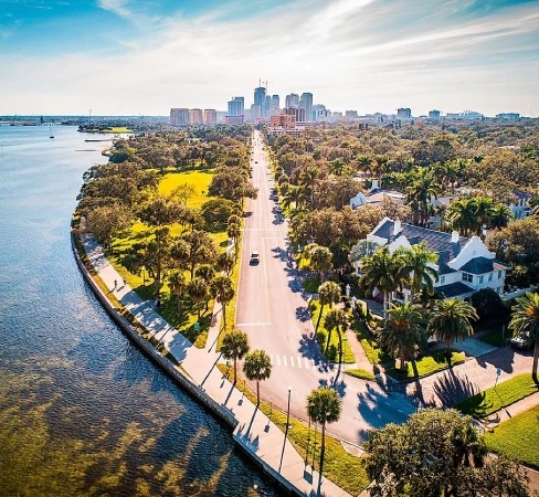 A forested area in St. Petersburg, Florida.